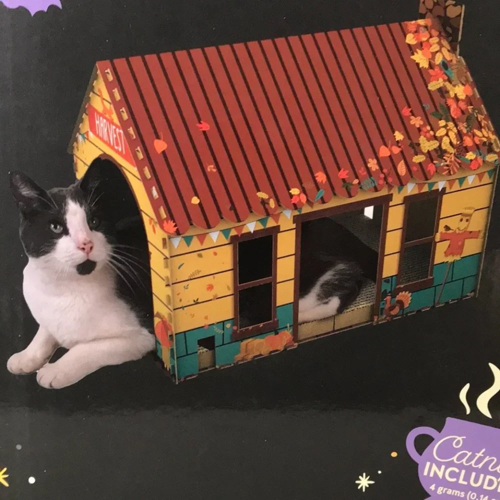 Cat Scratching Playhouse